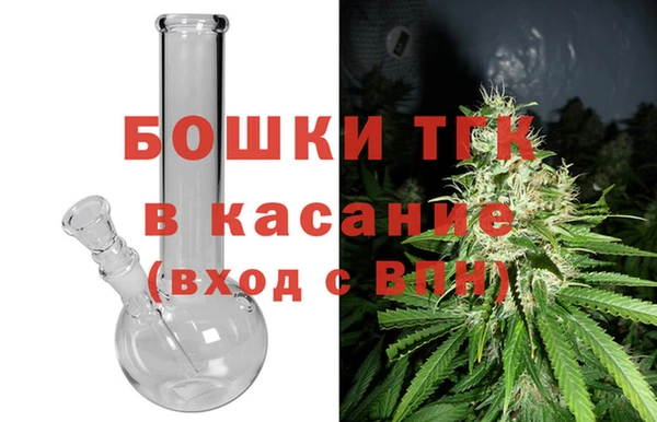 тгк Бердск